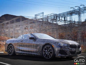 BMW Shows its 8 Series Convertible… in Camouflage