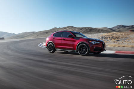 11+ Stelvio Suv Black PNG