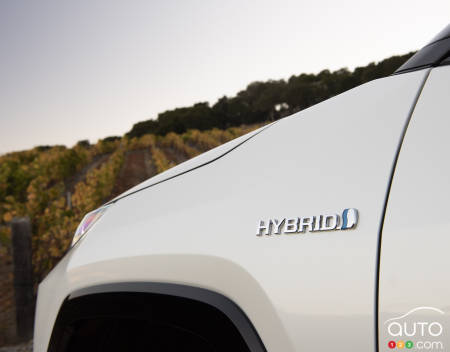 2019 Hybrid and Electric Car Guide: The Hybrids