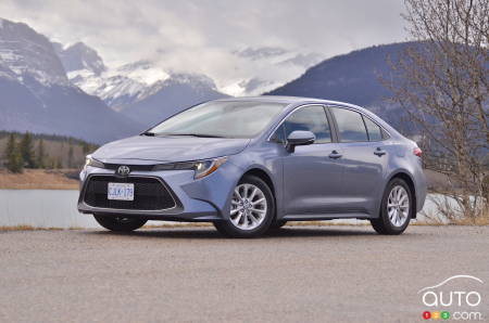 First Drive of the 2020 Toyota Corolla: En Route to 50 Million Sold