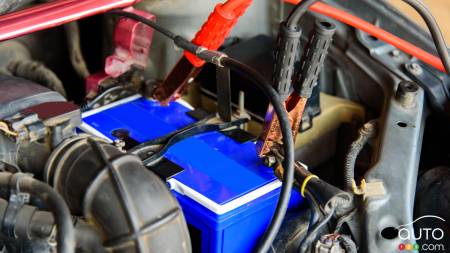 Go To NAPA Auto Parts For The Widest Selection of Automotive Batteries
