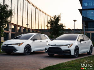 Toyota Corolla Gets Nightshade Treatment for 2020