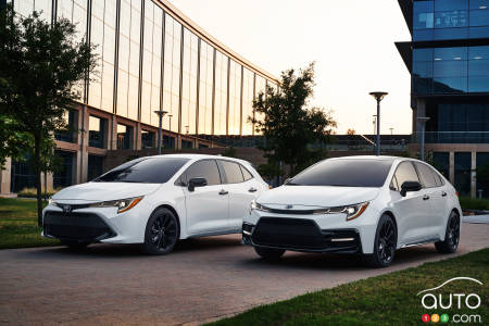 Toyota Corolla Gets Nightshade Treatment for 2020