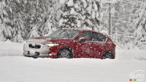 Surviving Winter in your Car: Here's What You Need to Do