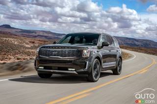 Research 2021
                  KIA Telluride pictures, prices and reviews