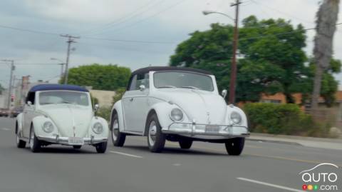 Is This a Miniature Volkswagen Beetle, Or a Giant?