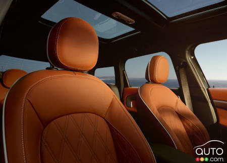Mini Will Eliminate Leather Seating