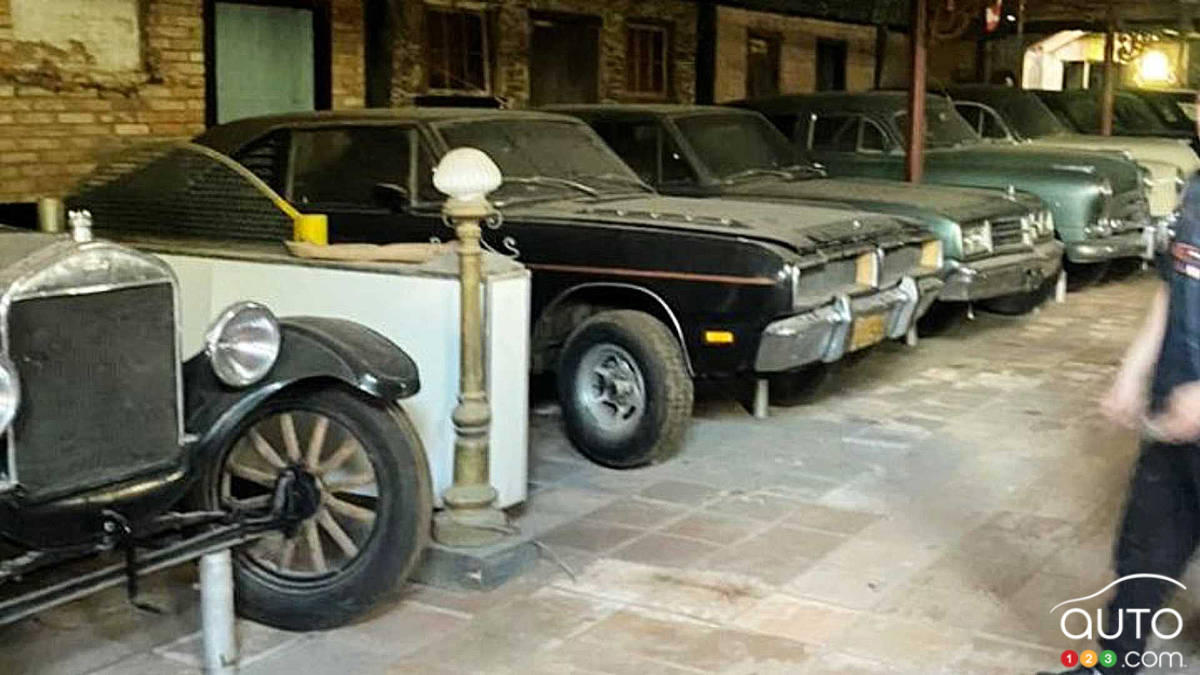Des ados découvrent un musée de voitures anciennes abandonnées