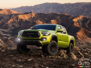 Toyota Tacoma 2024 : voici les dernières rumeurs