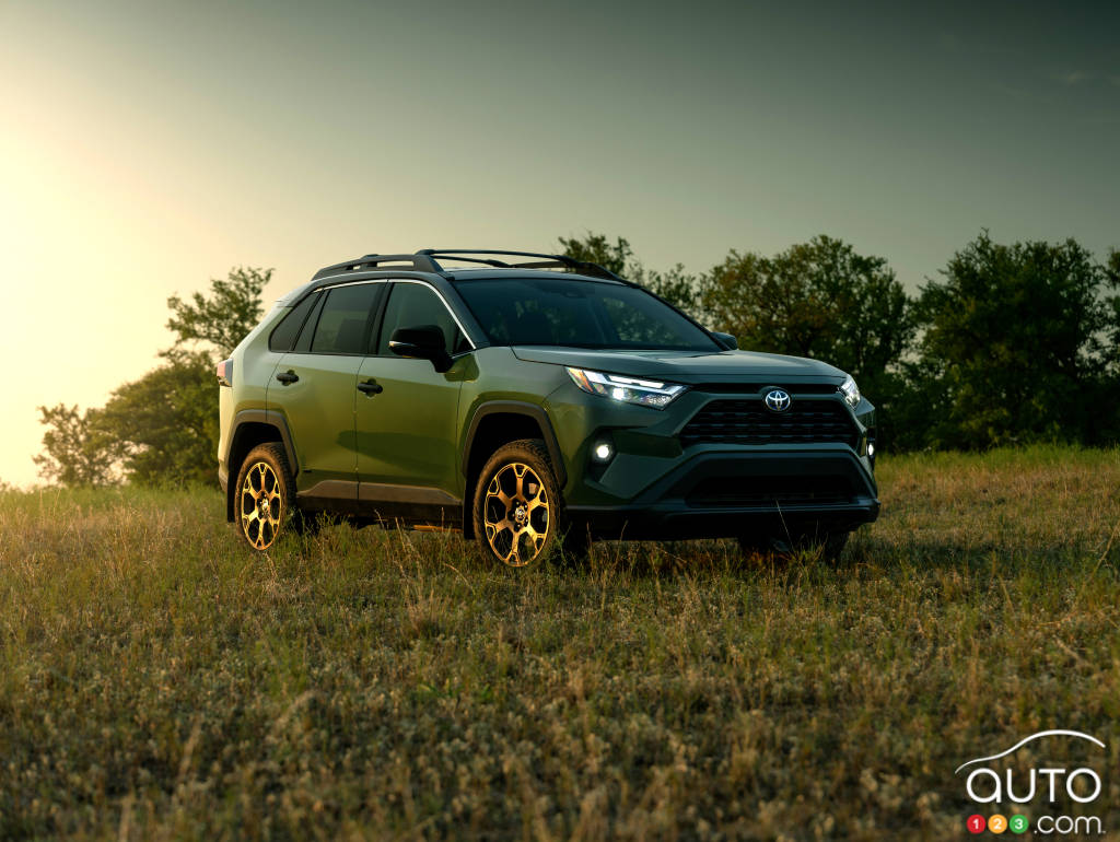 2024 Toyota RAV4 Woodland