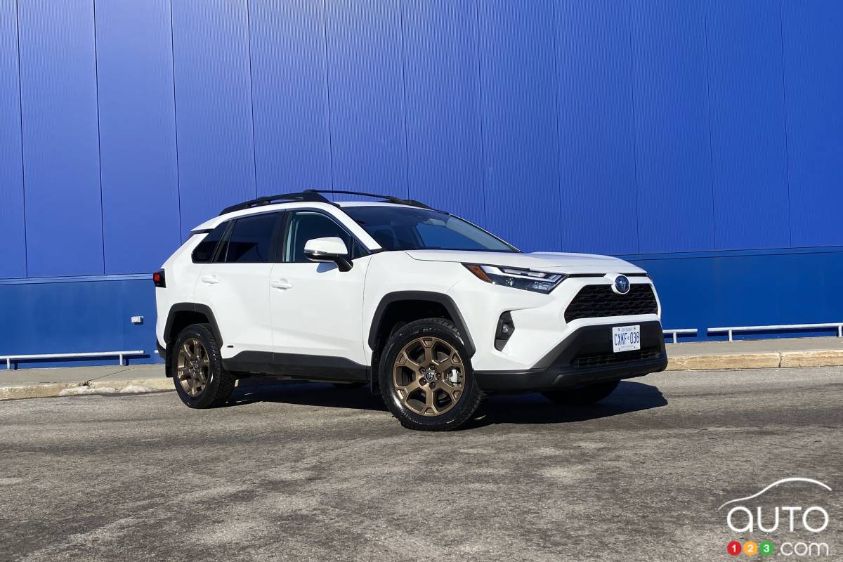 Toyota RAV4 Hybrid Woodland 2023 Review: Out in the Field