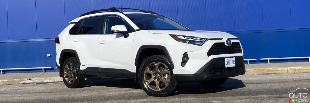 Toyota RAV4 Hybrid Woodland 2023 Review: Out in the Field