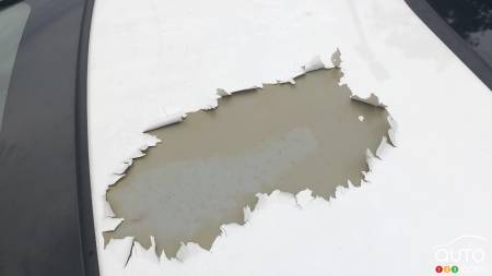 Class Action Lawsuit in U.S. Over Peeling Honda Paint