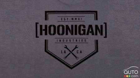 Steep Fall Ends With Hoonigan Company Declaring Bankruptcy
