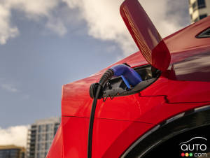 EV Batteries Might Last Longer than Expected: Study