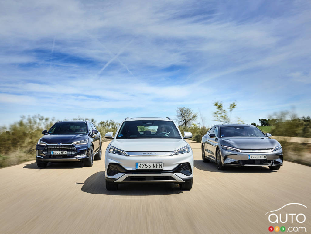 EVs produced by Chinese automaker BYD