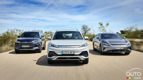 Sales of EVs, PHEVs Climbed by 25 Percent in 2024
