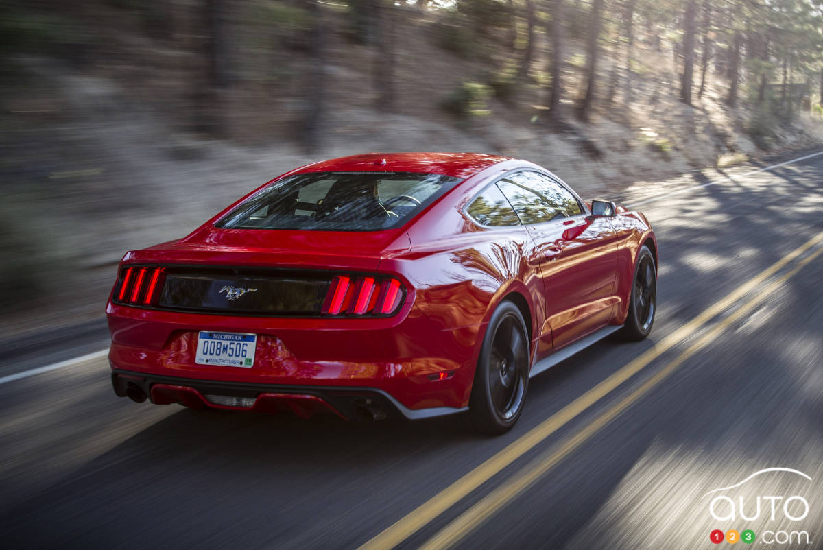 Ford Recalls 646,000 Vehicles for Seatbelt and Backup Camera Problems