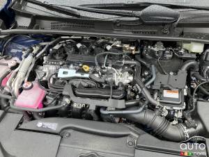 Gas-Only Vehicles Regaining Ground Globally, New Study Confirms