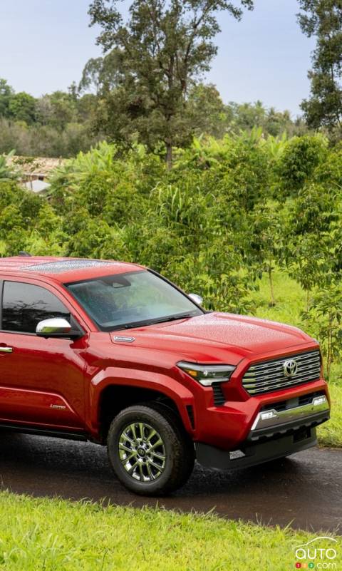 Toyota Recalls Over 110,000 Tacoma Trucks Trucks Due to Brake Fluid Leak