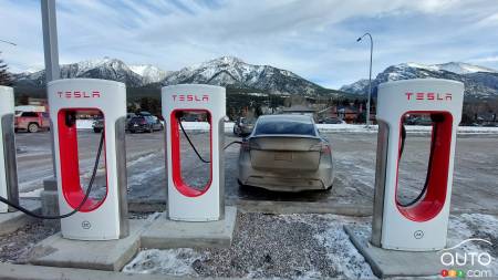 80% of Tesla Owners in Quebec Disavow Elon Musk