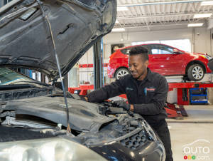 Conseils : l’entretien et la mise à jour après l’hiver