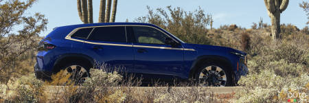 BMW XM Sales Continue to Tank
