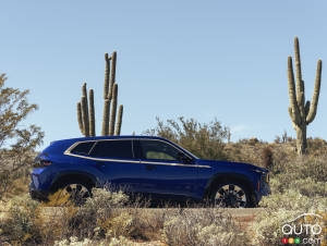 BMW XM Sales Continue to Tank