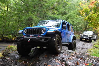 Jamara Jeep Wrangler JL 1:14, Porta Manuale da 2,4 GHz, Licenza Ufficiale, Fino a 1 Ora, Circa 11 Kmh, Dettagli Perfettamente riproducibili, Interno Dettagliato, Luce a LED