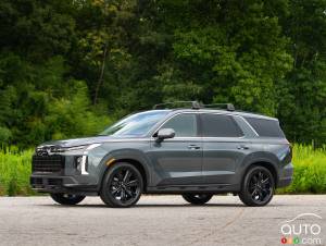 Hyundai recalls 44,000 Hyundai Palisades in Canada Over Side Curtain Airbag Issue