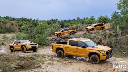 TRD Pro : Toyota présente les teintes Miel doré et Miel piment