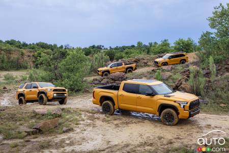 TRD Pro : Toyota présente les teintes Miel doré et Miel piment