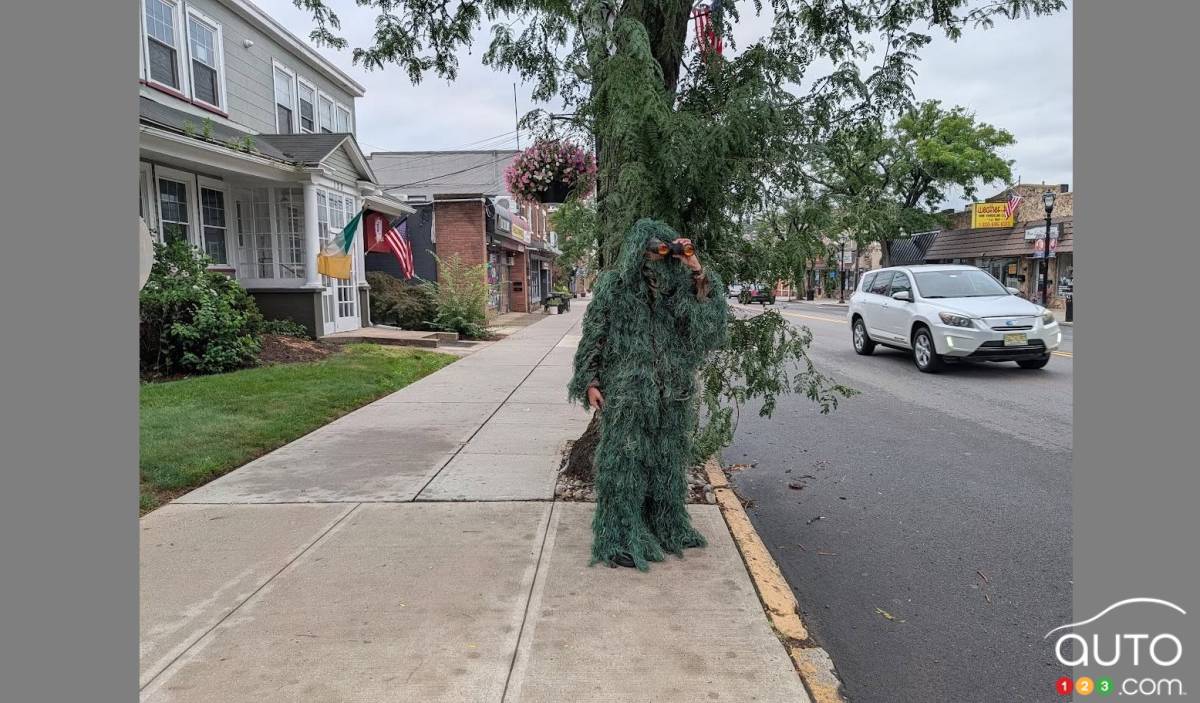 Attention aux arbres : la police camouflée sévit contre les conducteurs distraits
