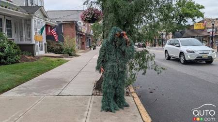 Beware the Trees: Camouflaged Police Crack Down on Distracted Drivers