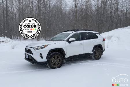 Toyota RAV4 Woodland 2024