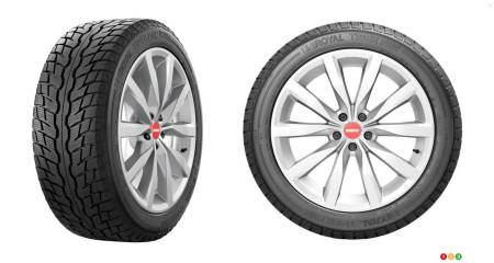 Le Tiger Paw Ice and Snow 4