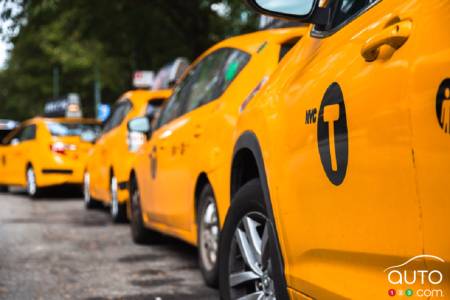 Row of NYC taxis