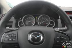 Steering wheel and gauges