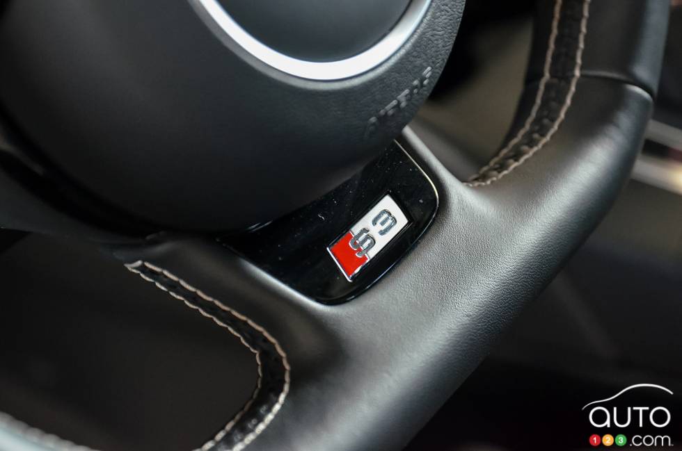 Steering wheel detail