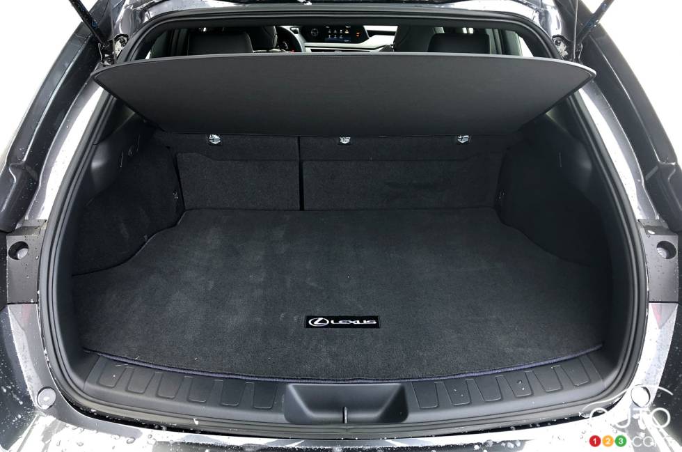 Nous conduisons le Lexus UX 250h 2022