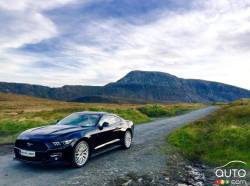 Mustangs Around the World - Ireland (side view)