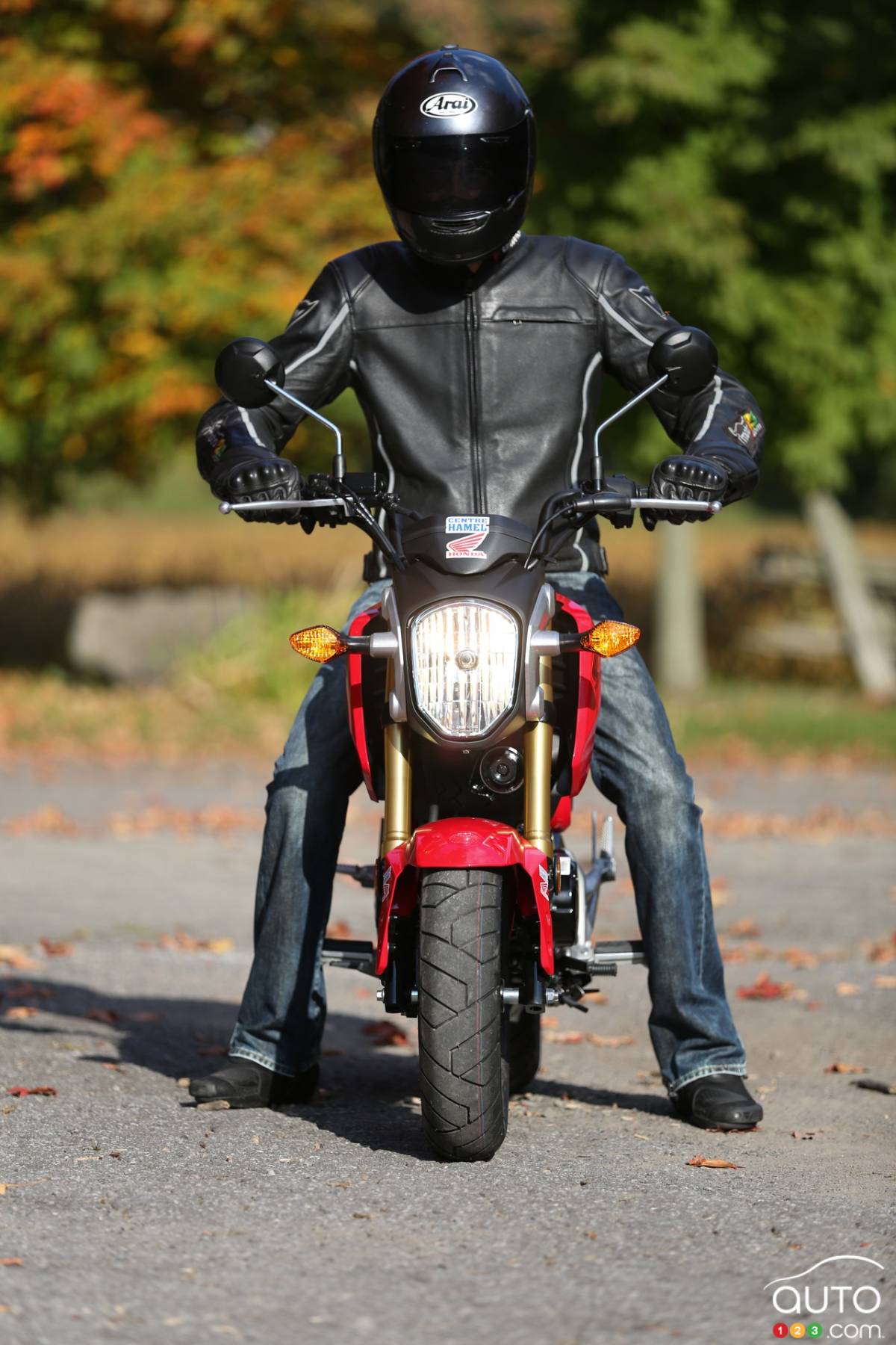 Honda on sale grom jacket