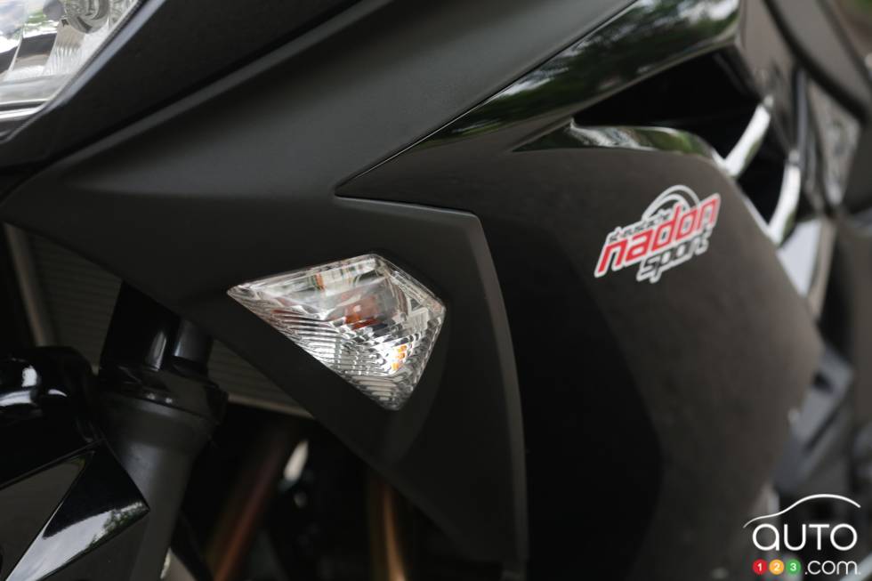 détails du clignotant intégré