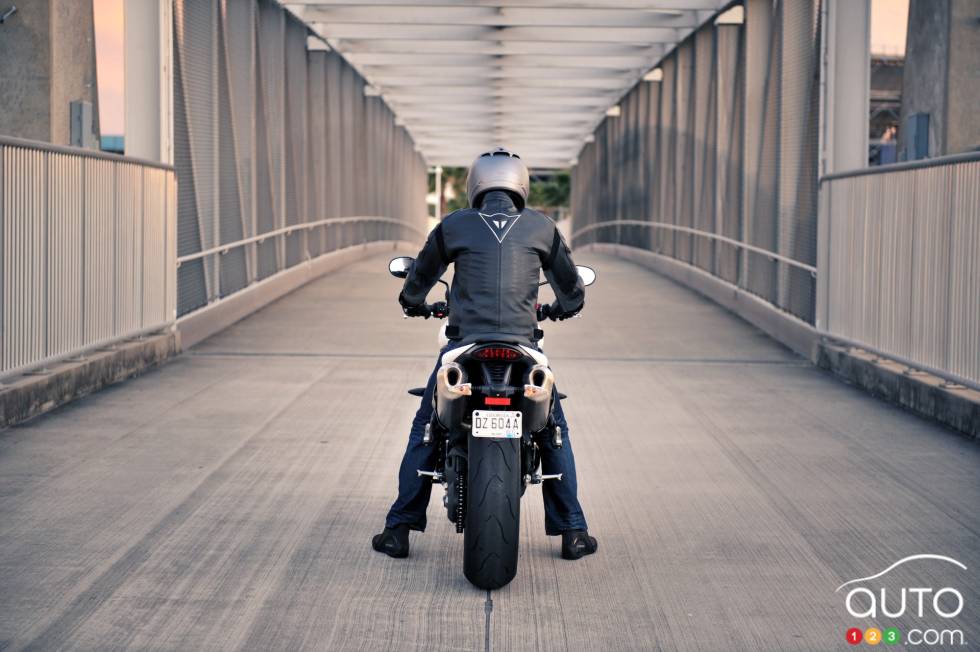 Rear end view
