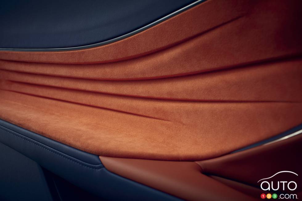 Panneau de porte de la Lexus LC 500h 2017