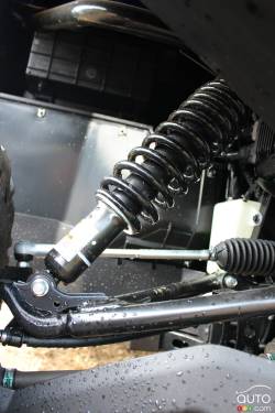 suspension details