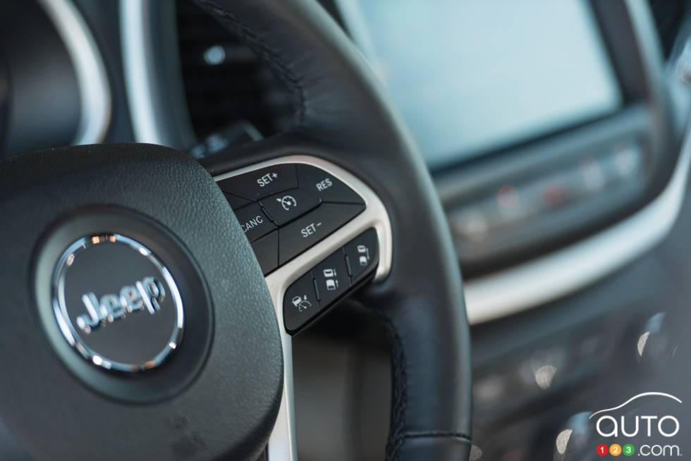 Steering wheel detail