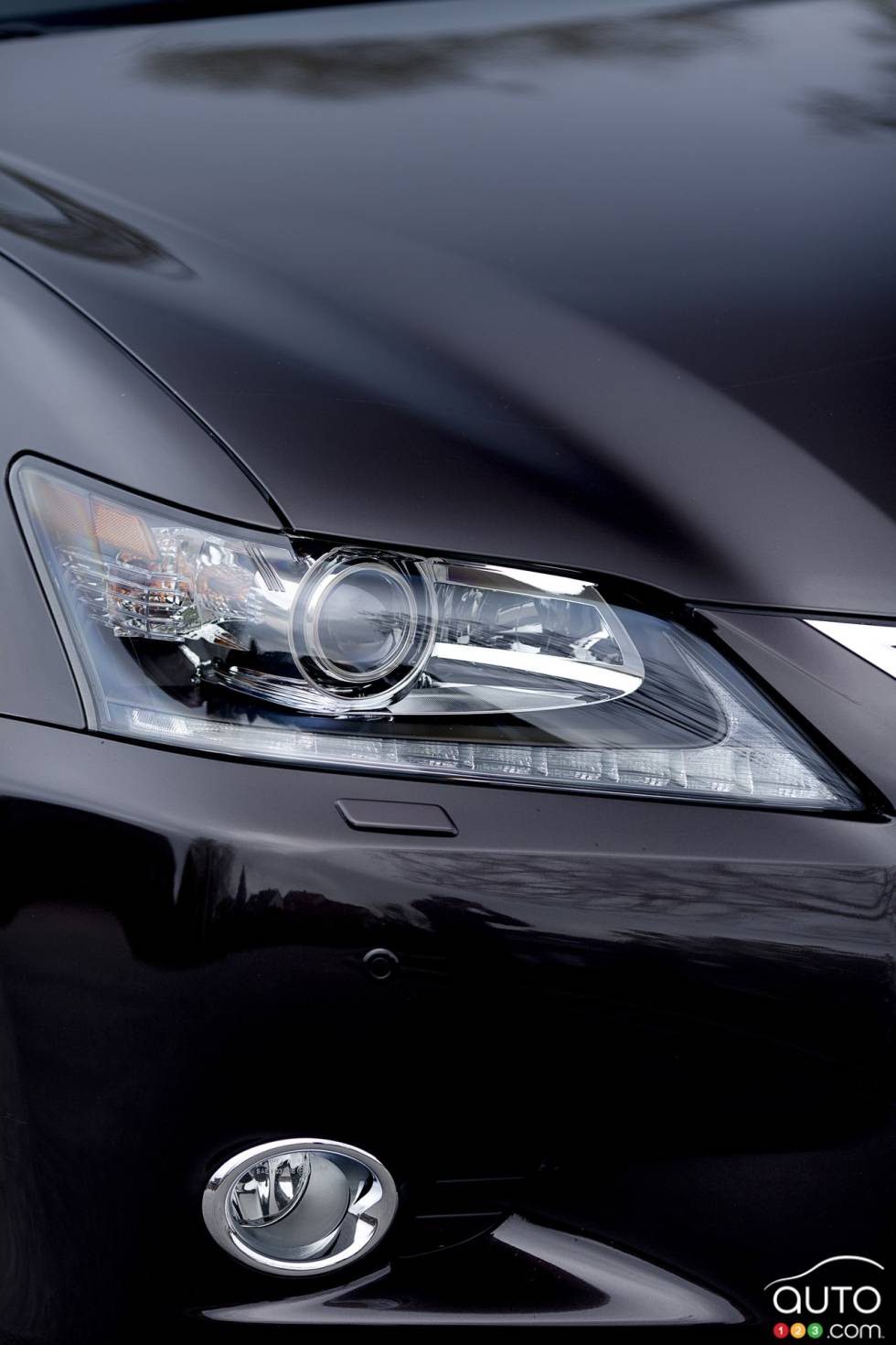 Headlight and foglight details