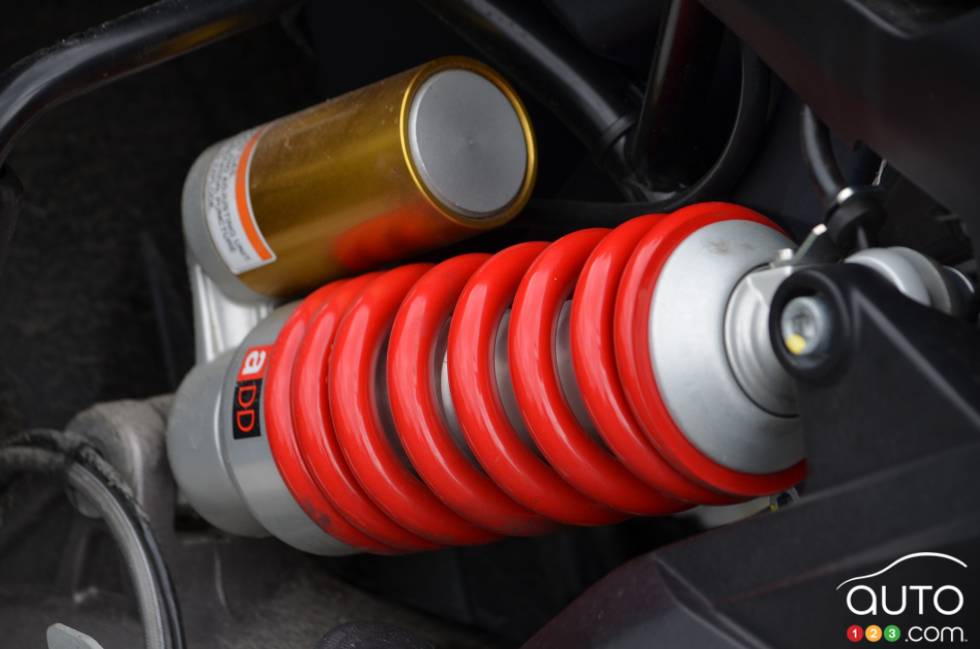 suspension details