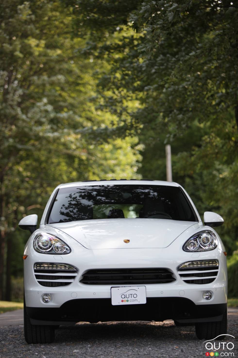 Vue de face rapprochée